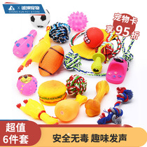 Pet dog dog toy molars bite-resistant sound tip screaming chicken golden hair Teddy supplies toy ball puppy big dog