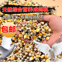 Pigeon food Nutrition feed Racing pigeons Carrier pigeons Adult pigeons Breeding pigeons with corn small particles Bowl bean food Bird food Pigeon food