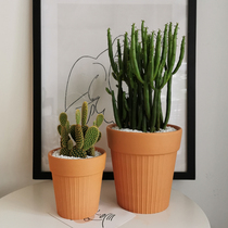 Red pottery flowerpot stripes Nordic creative wide edge art breathable living room balcony garden pottery pot