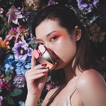 Luo Fei wireless Bluetooth mouse Potato chips Milk tea Lipstick Rose gold little yellow duck Rechargeable for Apple computer