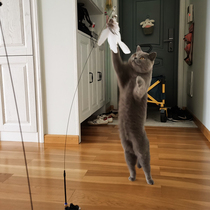 Wire cat stick long rod bite-resistant feather cat toy self-relief artifact can replace head molars kitten supplies