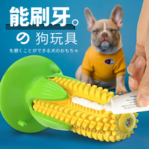 Dog toys bite-resistant puppies pet Teddy Golden molars vocal toys vent big and small dogs