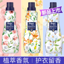 Gold spinning softener plant fragrance fragrance long-lasting fragrance clothing care agent freehand orchid official flagship store