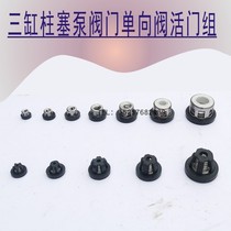 Valve group one-way valve dispenser remote pump three-cylinder plunger pump head accessories check valve suction valve valve