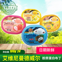 Aviginimandwell pudding Collagen pudding for direct edible Strawberry Mango Coconut Cheese Whole