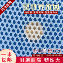 Small Hole Plastic Nets Breeding Pets Protective Net Insulation Safety Nets for chickens Anti-cat closure Window flat mesh Guard Network glued nets