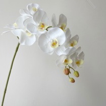 JUNJUN Emulation Flowers Orchid Chinese Modern Potted Flowers Flower Arrangement Butterfly Orchid Hotel Clubhouse Front Office Genguan