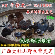 Guangxi Dashan wild Ganoderma lucidum selected whole natural not bitter purple Ganoderma lucidum dry goods sliced powder wine 250g