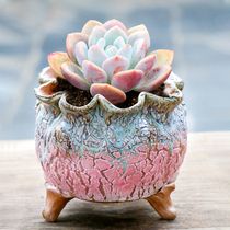 Hand-pinched burst flowerpot breathable succulents handmade creative new explosive pot Jingdezhen pink basin