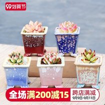 Creative Starry Sky kiln variable flow glaze mini white light coarse pottery breathable absorbent pork pot mini meat control Basin