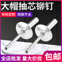 Big cap rivet aluminum round head blind rivet Big Head pull nail Big Head pull nail big cap edge pull rivet big flat head door pull Rivet