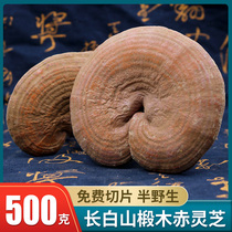  Red Ganoderma Lucidum with spore powder Large premium 500g Pruning bulk Nyingchi slices soaked in water Semi-wild