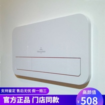 German Weibao home toilet hidden into the wall type dark buried water tank panel 92249068 92249061