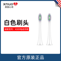 American Xinnuo xnuo smart electric toothbrush soft hair home men and women couples universal rechargeable sonic toothbrush