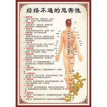 Traditional Chinese Medicine Acupuncture and Moxibustion Human Meridian Point Map Large Wall Chart High Definition Whole Body High Definition Acupoint Massage Poster