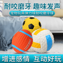 Dog toys vocal bite-resistant and boring ball Teddy Bomei Puppy golden retriever big dog molars artifact pet supplies