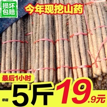 2019 is now digging Hebei Xiaobaizui Baishan medicine iron stick yam Huai Shan medicine Fresh vegetable powder waxy iron Asan medicine
