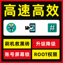 Oneplus 9r 9pro 8T 3T 5T 6T 7T 8pro mobile phone remote brush machine rescue brick solution root xp framework