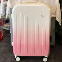New Suitcase Ins Net Red Female Pull Rod box Mens large capacity sturdy and durable small password travel leather case