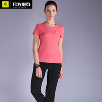 Kailo Stone Outdoor Quick Dry Short Sleeve Quick Dry Clothes Round Neck Sports T-Shirt Men and Womens Breathable Running KG720526