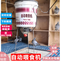 Pigeon supplies automatic feeder pigeon automatic trough feeding machine timing remote feeding chickens ducks and geese