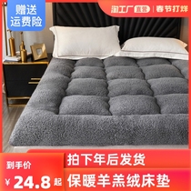 Lamb fleece mattress padded winter single student dormitory household tatami bed mattress padded by falai fleece