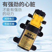 Dr. Lu high quality agricultural and forestry water pump electric sprayer car washing machine water pump motor Motor 12v diaphragm pump
