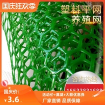Plastic grid balcony protection anti-fall mesh green breeding excrement chicken glue mesh fence pet escape net