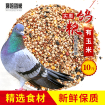 10kg of corn pigeon food flying nutrition feed bird food pigeon ornamental pigeon meat pigeon food
