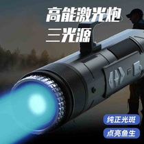 Volson Fishing Light Night Fishing Light Fishing Blue Light Super Bright Light Fish Lamp Xenon Wild Fishing Night Light Night Light Purple Laser Gun
