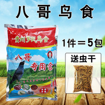 Eight brothers eating feed Guizhou Lis eight brothers eating probiotics bird food beans food beard black-bred blue magpie grain