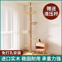 Solid wood Tongtianzhu cat climbing frame cat litter cat tree one does not occupy floor space high-rise large space capsule cat litter