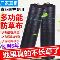 Factory direct anti-grass cloth weeding cloth anti-aging grass mat greenhouse orchard grass cloth film agricultural horticultural cloth