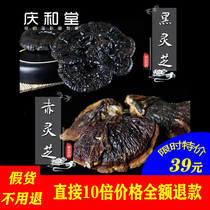 100g black Ganoderma lucidum wild deep mountain special grade purple red Ganoderma lucidum sliced Wine Wine tea water cloud South Africa 500g