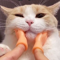 Net red roll cat small hand gloves funny cat artifact trembles with touch cat mini massage toy Barbie finger cover