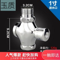 Self-closing flush valve switch public dark Flushing urinal stainless steel accessories toilet urine hand press type