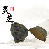 Lansheng Tong Tibet Wild Lingzhi Wood Hooves of Fungus Wood Hooves of Lucid Lucid Lingzhi Lucid Lucid Lingzhi Lucid Lucid 500g And Lucid Lucid