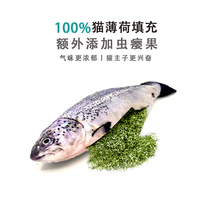 Cat toy fish teasing cat deity stuffed cat biting mint fish to hold pillowy cat self-hi grinding tooth carp resistant to bite