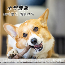Ji fun Hall GiGwi expensive natural pine antler tooth tooth tooth tooth tooth tooth tooth grinding stick stick resistant pet dog toy