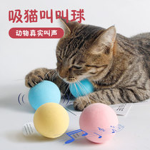 Cat toys self-Hi gravity call ball automatic teasing cat relief artifact bird cricket cry pet supplies