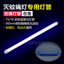 Mosquito extinguishing lamp tube sticky fly-extinguishing lamp tube LED Blue Purple Light restaurant with T5-6W8W mosquito tube T8-15W