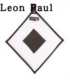leonpaul Paul fencing mobile sword target