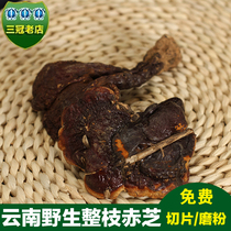 Yunnan wild red ganoderma ganoderma natural whole branch red ganoderma 5-8CM red ganoderma slice Linzhi 250g