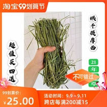 21 years of new grass country pasture rabbit drying and baking Timothy 1kg super green palatable buy four get one free