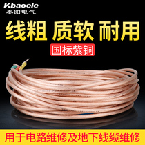 Ground Soft Copper-cored wire Placed Home with ground bar Lightning Rod lightning rod Lightning Rod insulated leather ground wire stick