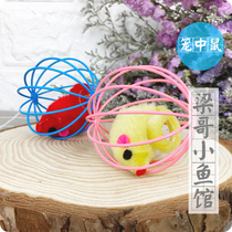 Liang Ge Xiaoyu House cat toy cage mouse toy cat catch ball ball ball ball toy containing rabbit hair mouse