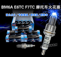 Torch BM6A E6TC F7TC E6TC two-stroke Jincheng chain saw 80 mowing pump spark plug T4196