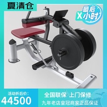 Original American Lijian LIFEFITNESS Excellent Hanging Tablet Lifting Trainer SPLCALF