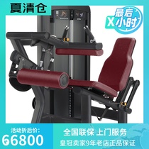  American LIFEFITNESS brand Insignia Series Sitting Thigh Flexion and Extension Trainer SS-SLC