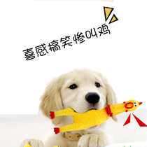 Screaming chicken small pet voice toy strange call vent Oh chicken dog